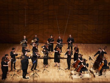 ACO Collective 1