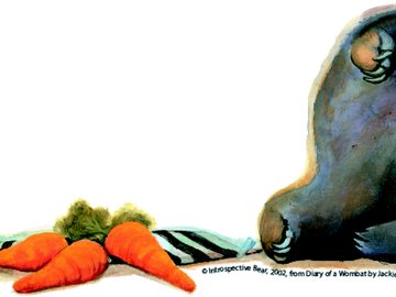 Wombat test hero 1800x500